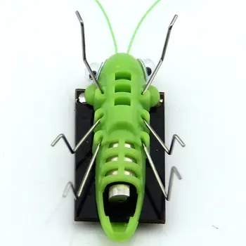Z5 Güneş Çekirge Oyuncak Bulmaca Çocuk Seçilen Hediye Simülasyon Böcek Hediye Erkek Ve Kız Bilim Eğitim Komik Hareketli Oyuncak