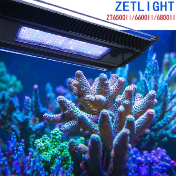 ZETLIGHT Qmaven Mercan Lamba deniz akvaryum ışığı ZT6500II 6600II 6800II Sunrise akvaryum aksesuarları balık tankı aydınlatma