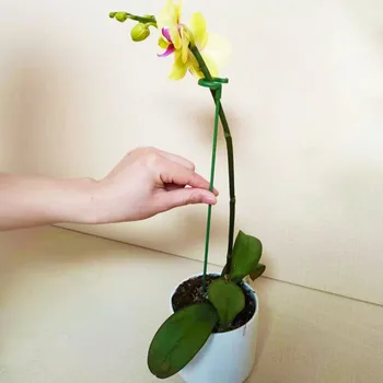 10 adet Plastik Bitki Destekler Çiçek Standı Kullanımlık Koruma Sabitleme Aracı Bahçe Malzemeleri Sebze Tutucu Braketi