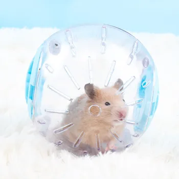 Plastik Açık Spor Topu Topraklayıcı Sıçan Küçük Pet Fareler Koşu Topu Oyuncak Hamster Gerbil Egzersiz Topu Oyun Oyuncak Küçük Pet Malzemeleri