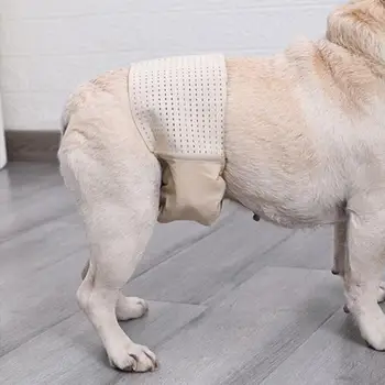 Pet Adet Pantolon Pet Bez Elastik Kemer Polyester Rahat Kadın Köpek Bezi Köpek Bezi Enfeksiyon Önleme