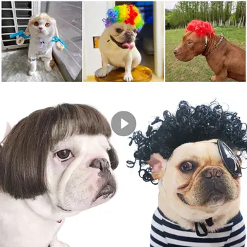 Pet Peruk Cosplay Sahne Komik Köpekler Kediler Çapraz Giyinme Saç Şapka Kostümleri Kafa Aksesuarları Cadılar Bayramı İçin Noel Evcil Hayvan Malzemeleri