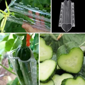Plastik Salatalık Büyüme Şekillendirme Kalıp Kalp Yıldız Şekilli Kalıp Meyve Sebze Büyüyen Kalıp Şeffaf Bahçe fide saksısı