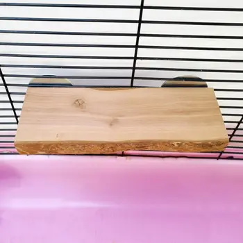 Fare Papağan Kobay Sıçan Doğal Çiğnemek Oyuncaklar Hamster Çıkıntı Ayakta Platform Rafı