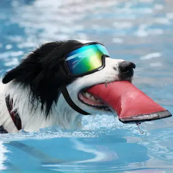Kırılmaz Köpek Gözlük Koruyucu Köpek Güneş Gözlüğü Ayarlanabilir Sapanlar Uv Rüzgar Koruması Küçük ve Orta Irklar için Açık