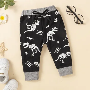 Bebek Bebek Kız Erkek Toddler Kıyafetler Takım Elbise Karikatür Dinozor Baskı Uzun Kollu Kapüşonlu Sweatshirt Uzun Pantolon İle 2 Adet Set 1-3 Y